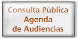 Consulta pública agenda de audiencias